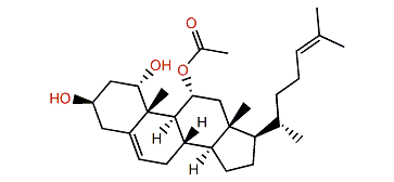 Cholesta-5,24-diene-1alpha,3beta,11alpha-triol 11-acetate